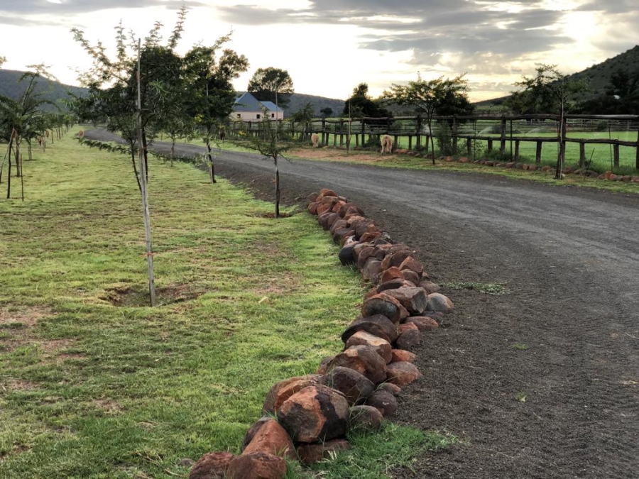 Commercial Property for Sale in Middelburg Rural Eastern Cape